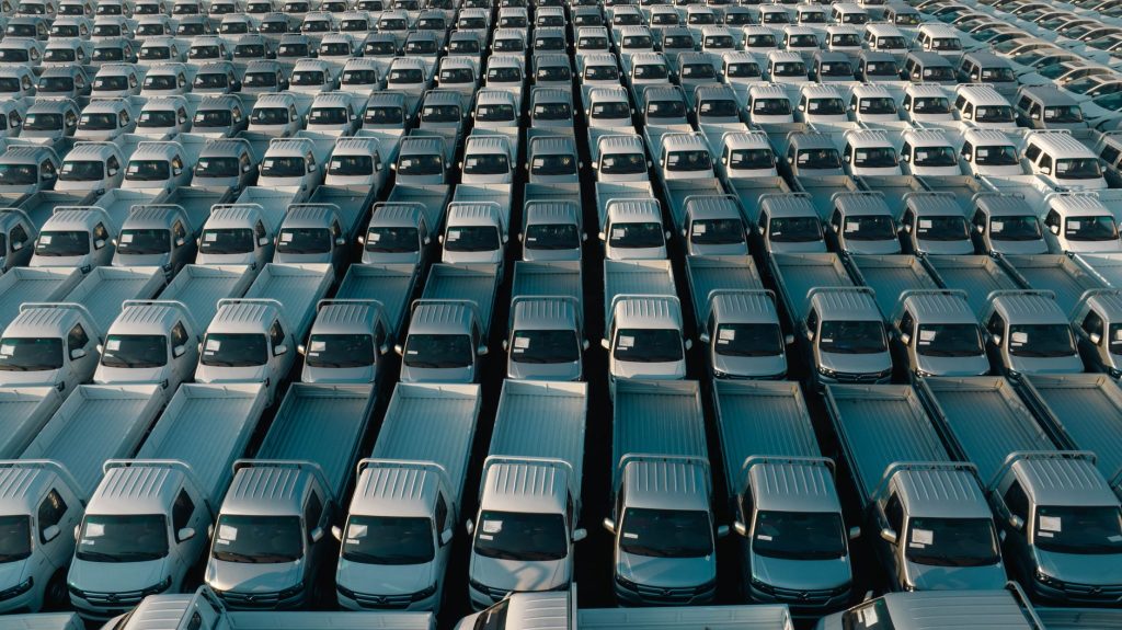 Cybercab fleet purchase